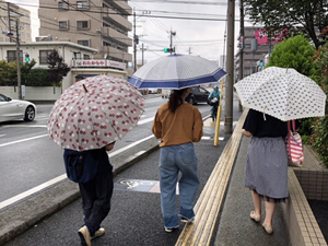 地区踏査の様子